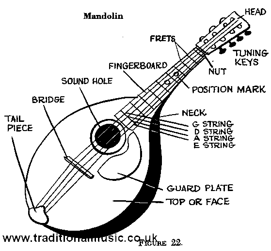 mandolin parts